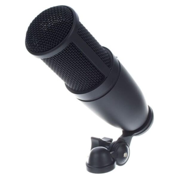 AKG P120 Condenser Microphone