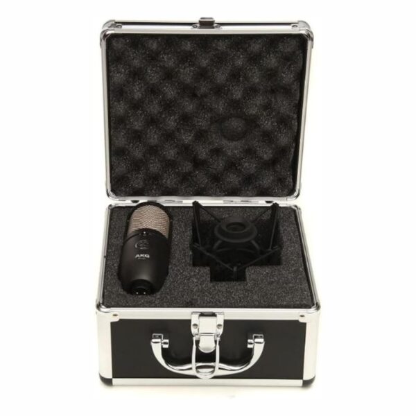 AKG P420 Perception Condenser Microphone