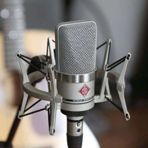 Neumann TLM 102 Condenser Microphone