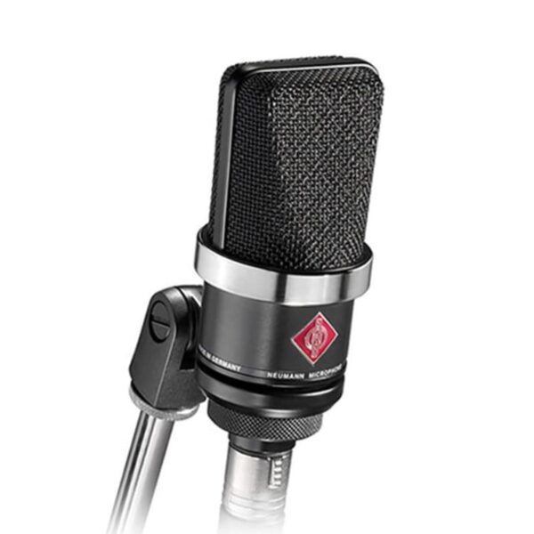 Neumann TLM 102 Condenser Microphone