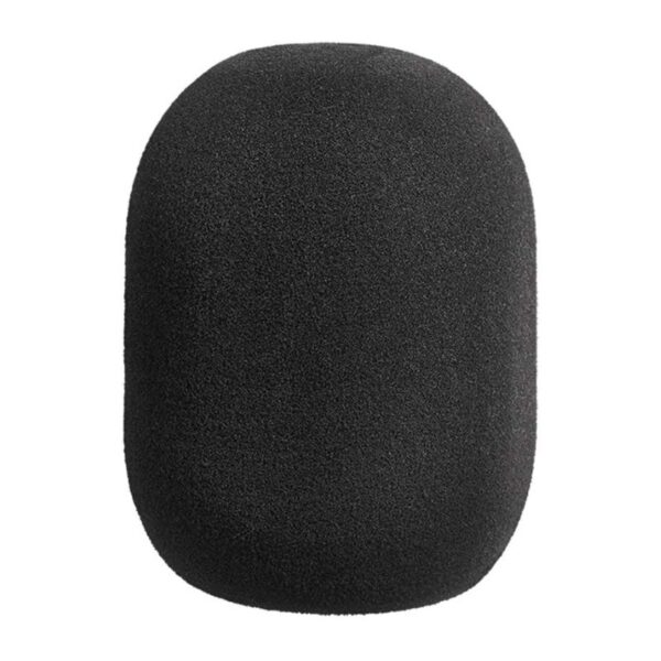 NEUMANN U87 AI Condenser Microphone
