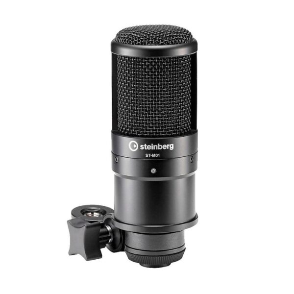Steinberg UR22Cn Studio Recording Pack